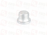 A0029900612, IYB500020 Plug (for DCS/ITC PLA/DCD)