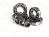 Bearing Kit (for ITC PLA 1Speed NG)